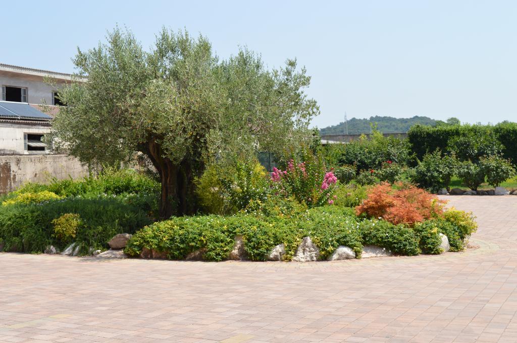 Agriturismo Ca' Del Gal Валеджо-суль-Мінчо Екстер'єр фото