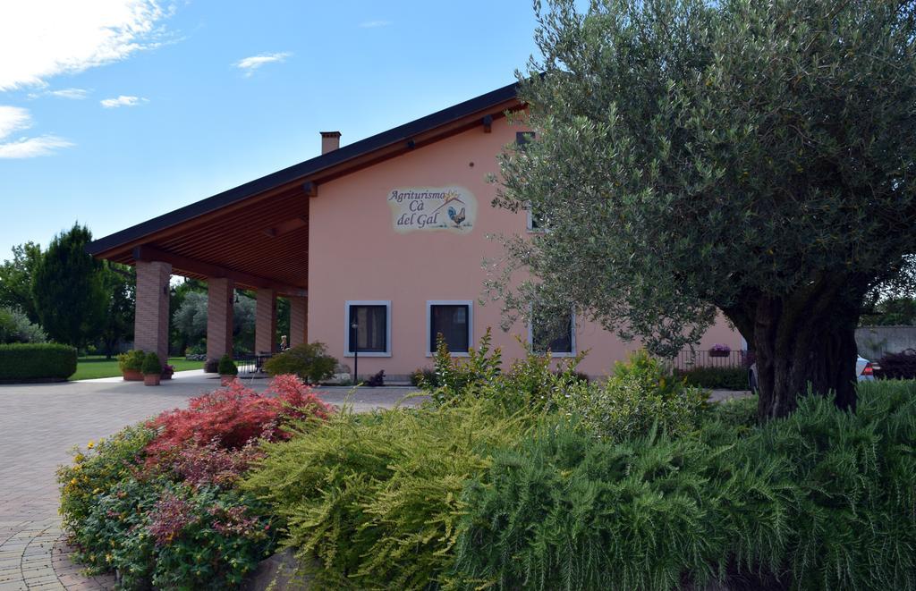 Agriturismo Ca' Del Gal Валеджо-суль-Мінчо Екстер'єр фото