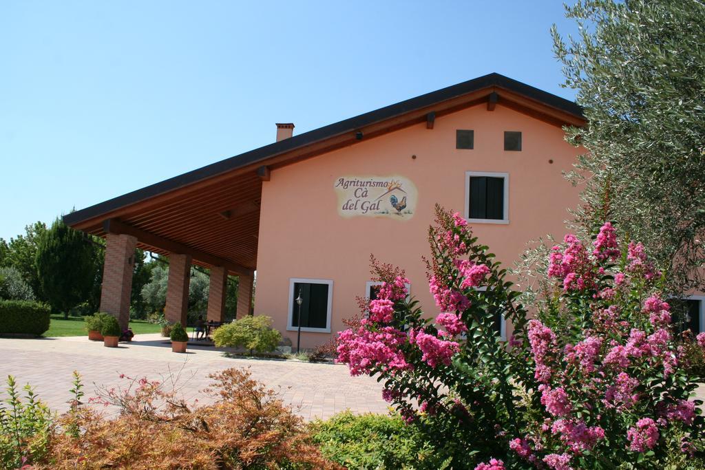 Agriturismo Ca' Del Gal Валеджо-суль-Мінчо Екстер'єр фото